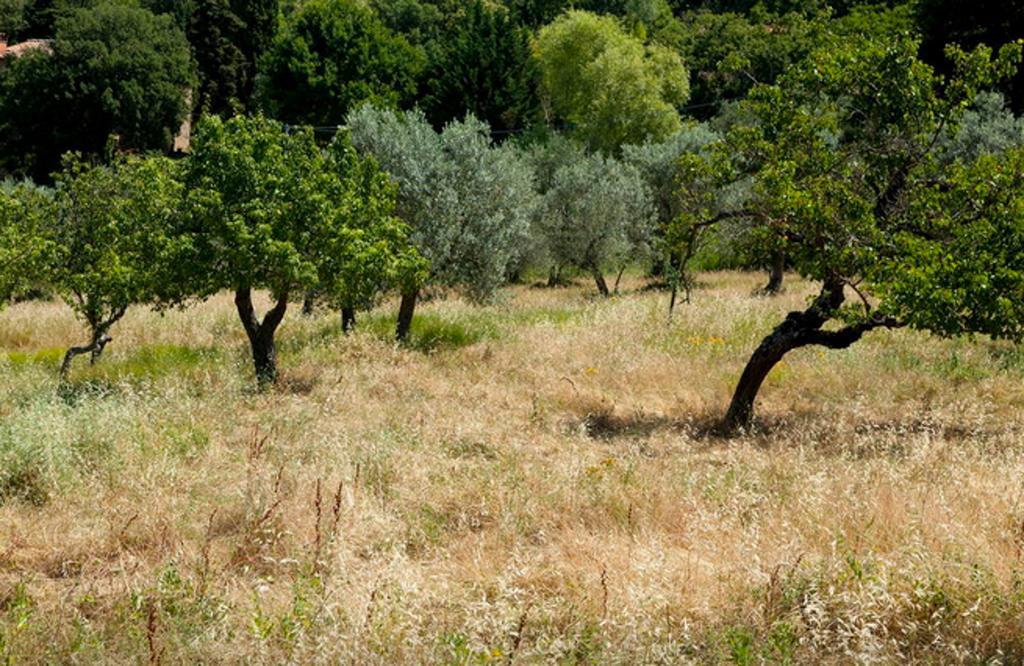 Fattoria La Tavernuzza Grassina Habitación foto