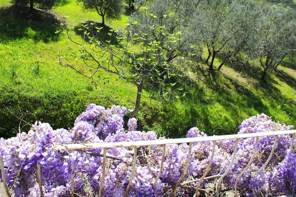 Fattoria La Tavernuzza Grassina Exterior foto
